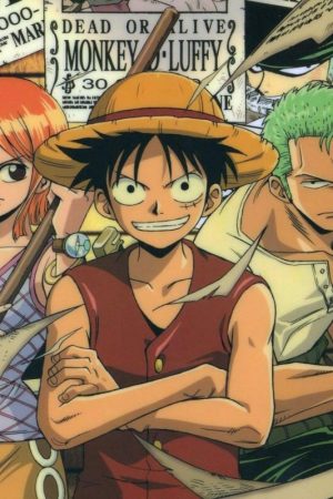 Đảo Hải Tặc – One Piece TV Special 5: Nước mắt hoa tiêu và liên kết giữa những người bạn