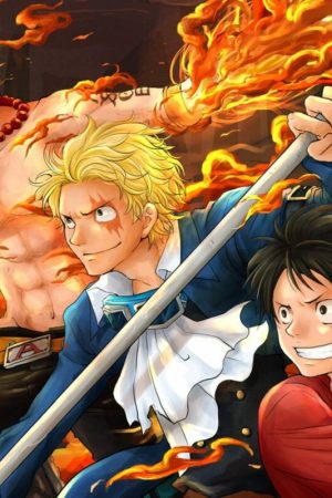 Đảo Hải Tặc – One Piece TV Special 9: Lời hứa của 3 anh em